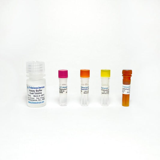 Acetaldehyde Assay Kit (Fluorometric)