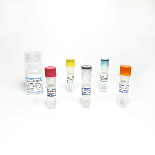 Cytochrome C Oxidase Activity Assay Kit