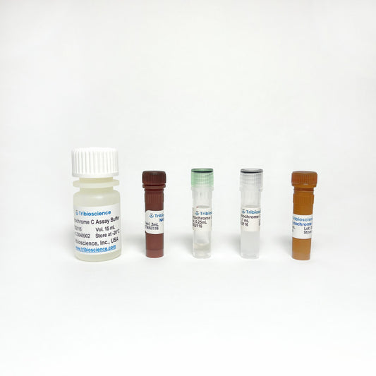 Cytochrome C Reductase Activity Assay Kit