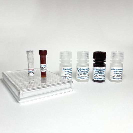 Fast Human Ferritin ELISA