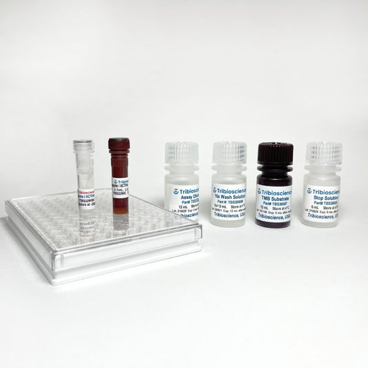 Fast Adrenocorticotropic Hormone/ACTH ELISA, 1step and 1hr