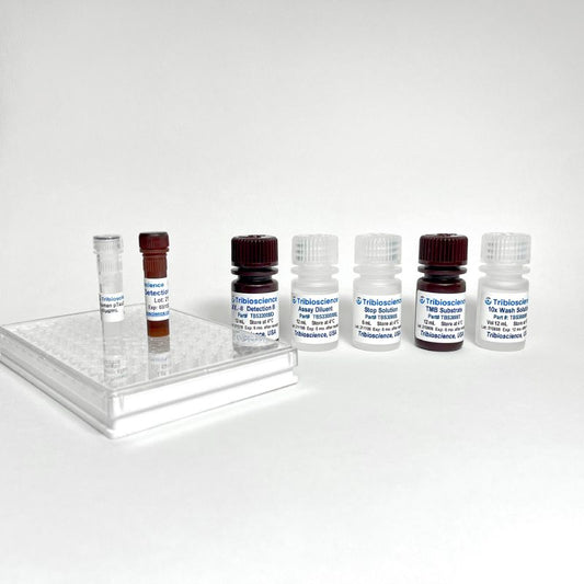 Canine IL-8 ELISA Kit