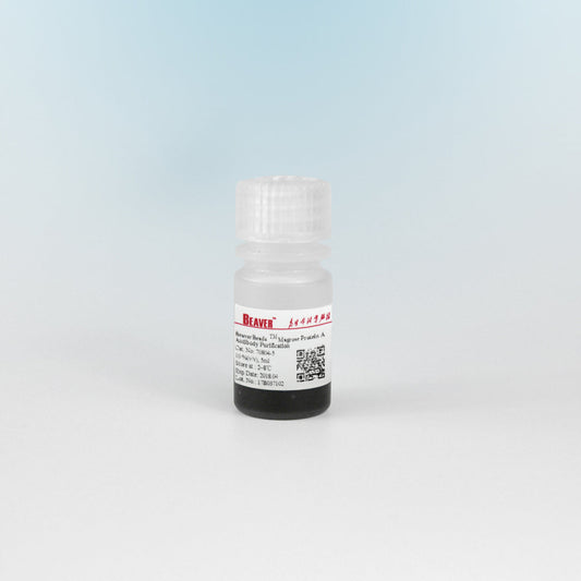 BeaverBeads Magrose Protein G