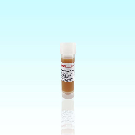 BeaverBeads Magrose ProteinA