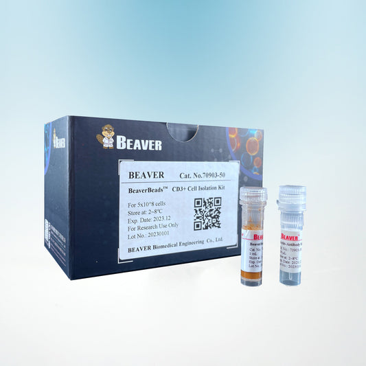 BeaverBeads Mouse CD8+ T Cell Isolation Kit(negative selection)